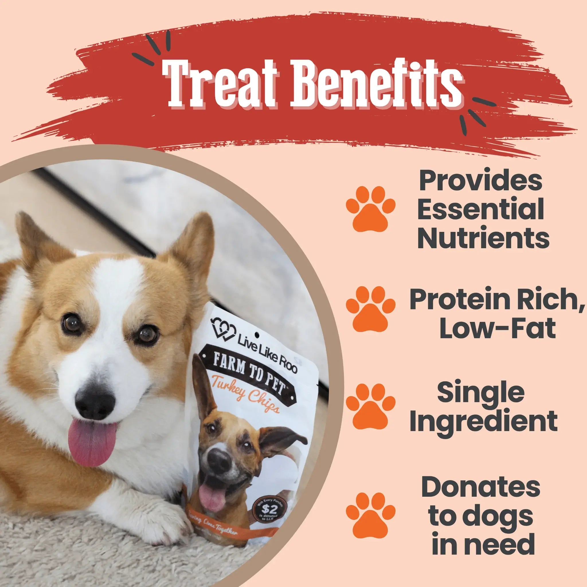 Live Like Roo Turkey Chips for Dogs | Dog Treats That Give Back Farm To Pet