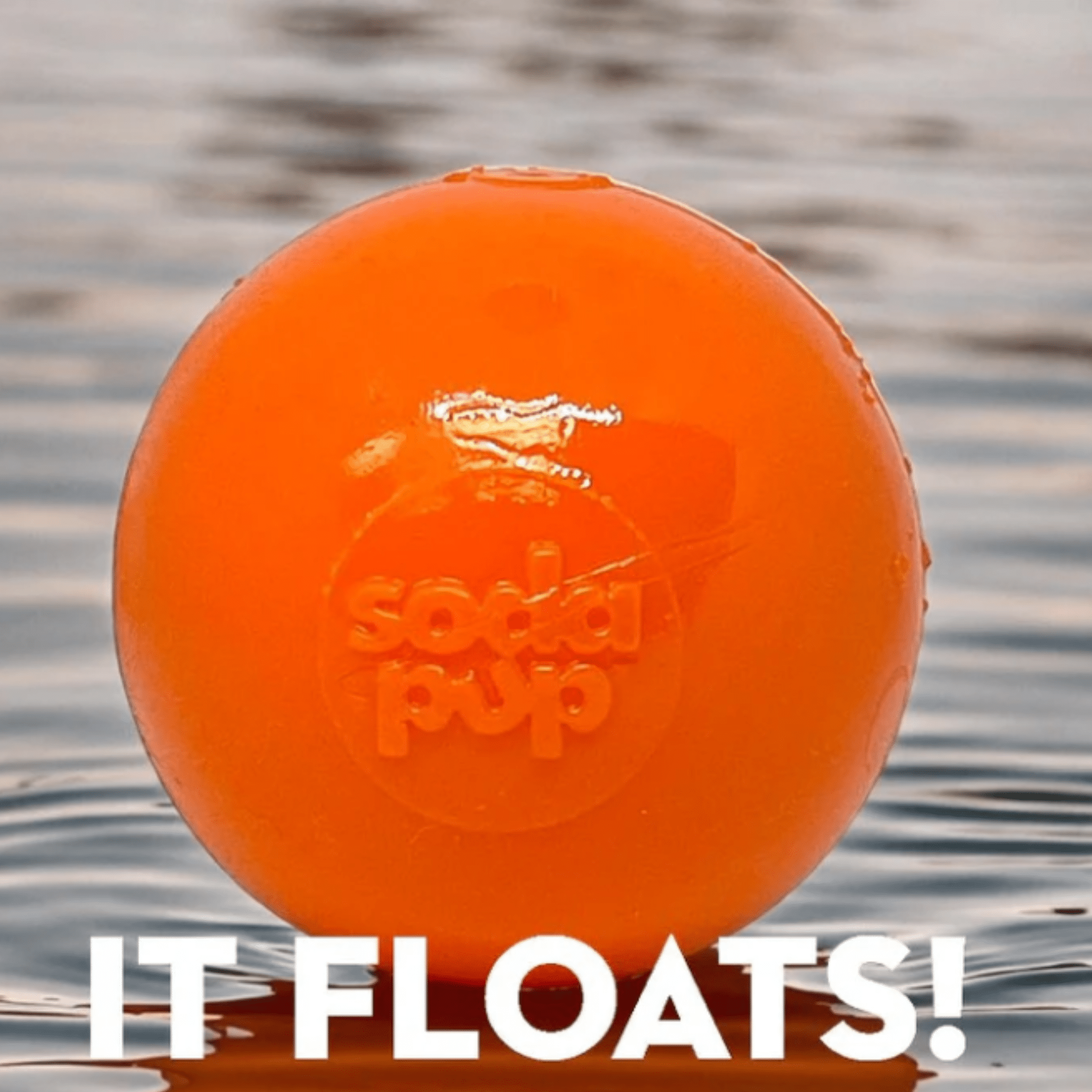 Dog Fetch Balls Farm To Pet