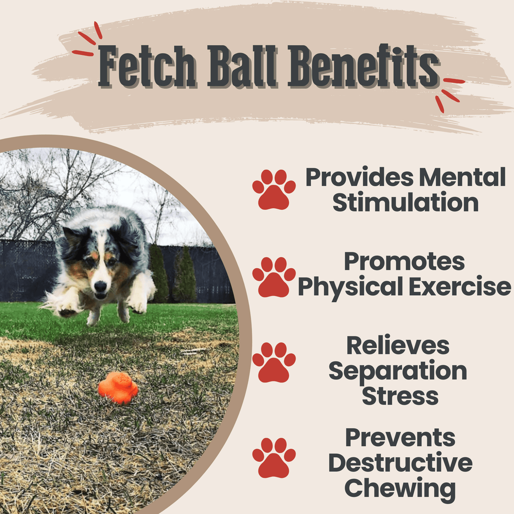 Dog Fetch Balls Farm To Pet