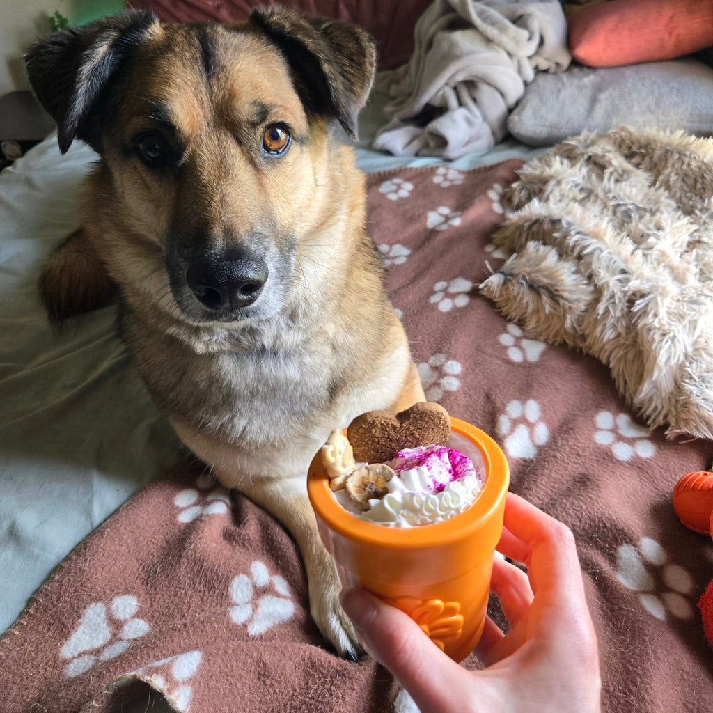 Dog Treat Dispensers Farm To Pet