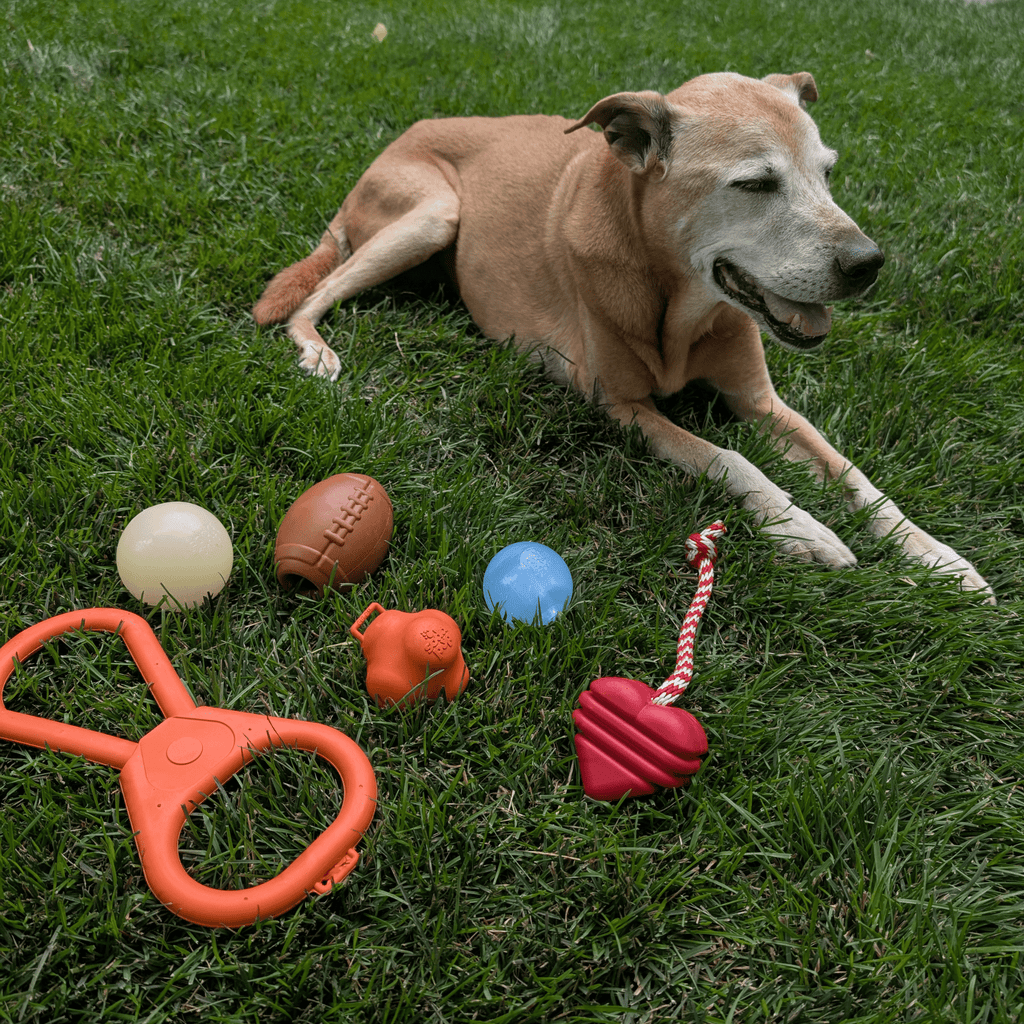 Dog Fetch Balls Farm To Pet