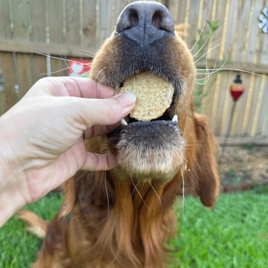 Fish Chips for Dogs | Wild-Caught Fish Dog Treats Farm To Pet