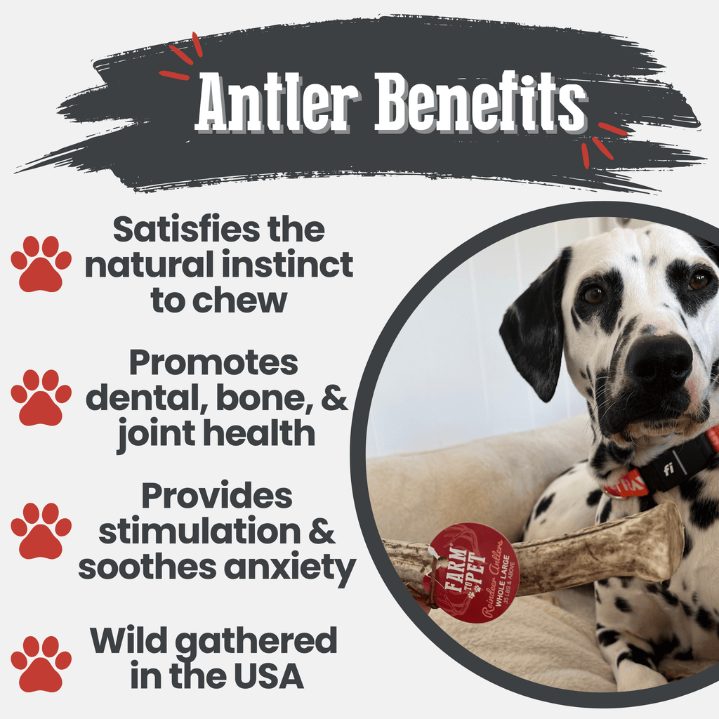 Reindeer Antler Dog Chews | Organic Chews for Dogs Farm To Pet