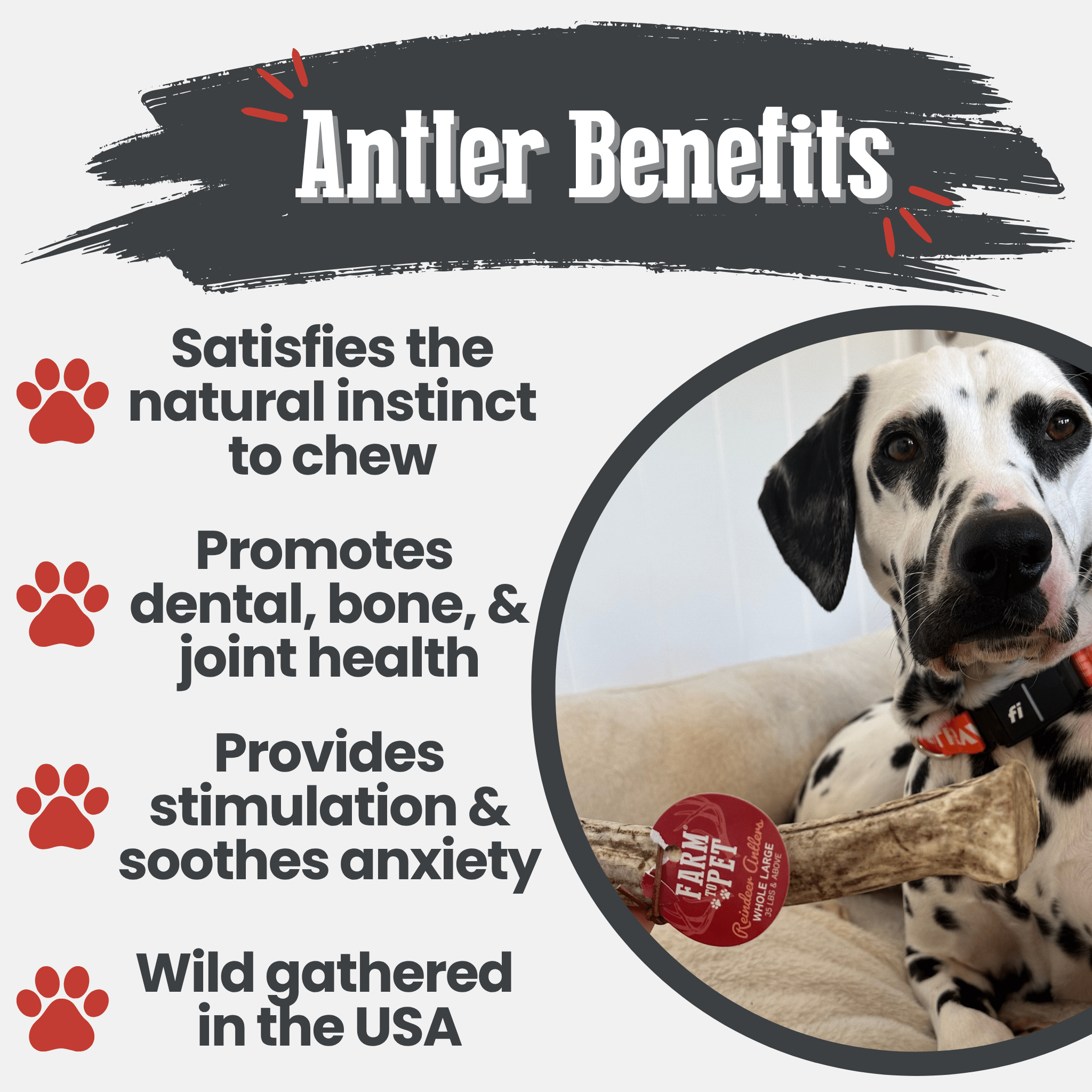 Reindeer Antler Dog Chews | Organic Chews for Dogs Farm To Pet