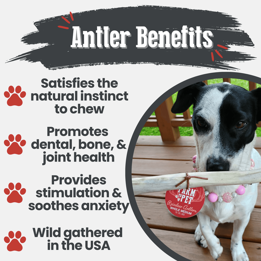 Reindeer Antler Dog Chews | Organic Chews for Dogs Farm To Pet