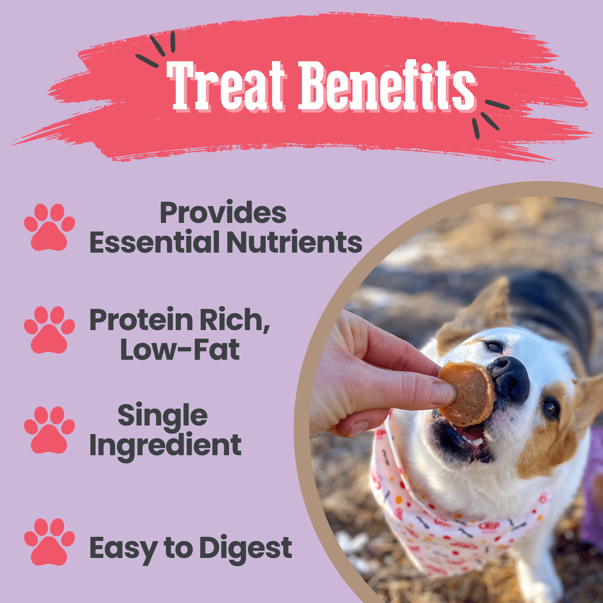 Puppy Love Dog Treat Duo | Poultry Chip Variety Pack Farm To Pet