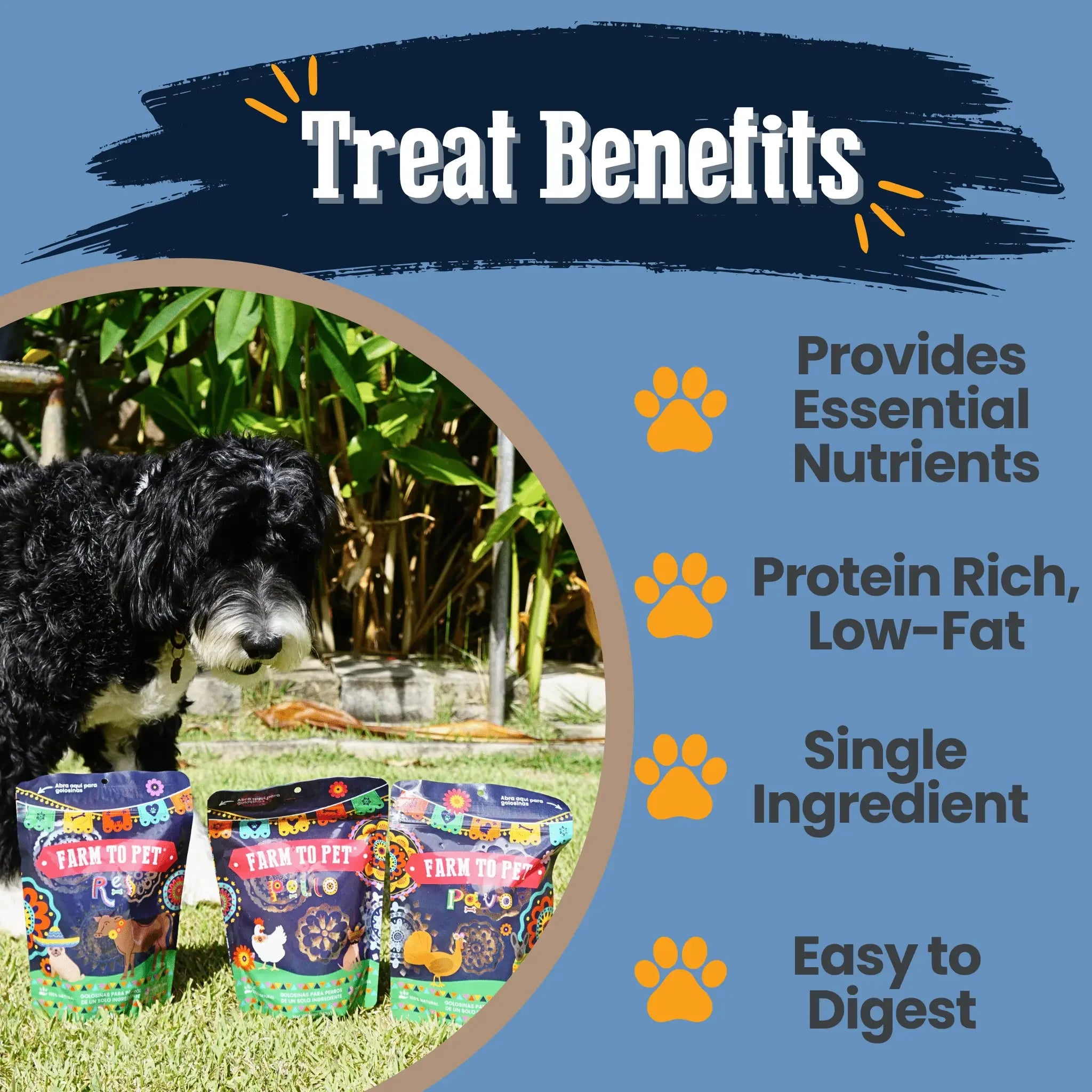 Premios Para Perros Fiesta Pack | Dog Treat Variety Bundle Farm To Pet