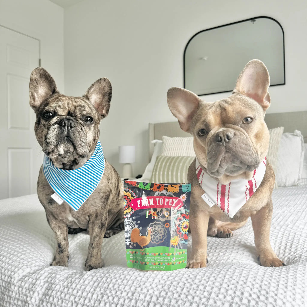 Premios Para Perros Fiesta Pack | Dog Treat Variety Bundle Farm To Pet