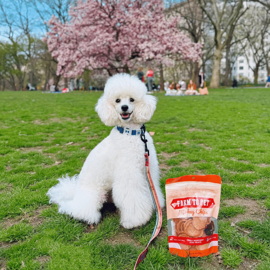 Turkey Chips for Dogs | All-Natural Single-Ingredient Healthy Dog Treats Farm To Pet