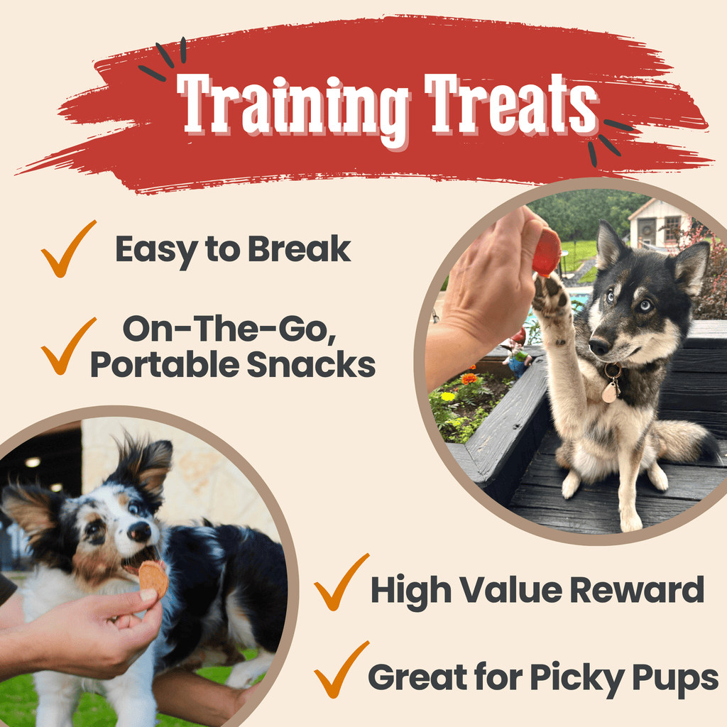 Turkey & Chicken Chip Dog Treat Duo | Single-Ingredient Poultry Treats for Dogs Farm To Pet