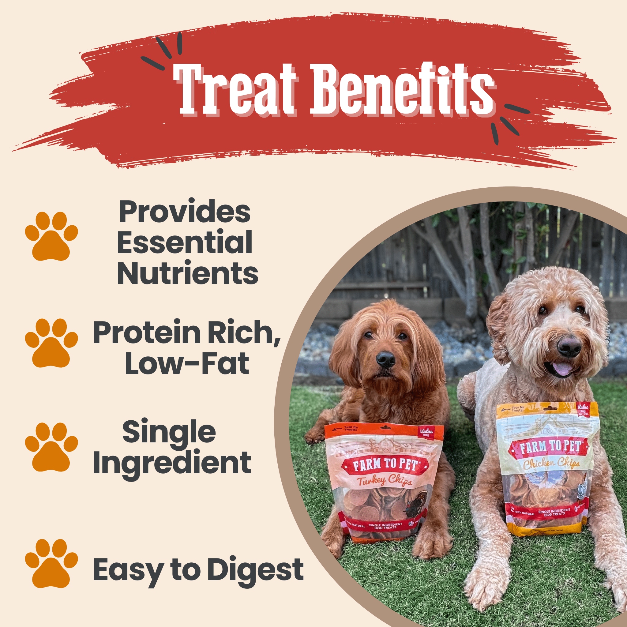 Turkey & Chicken Chip Dog Treat Duo | Single-Ingredient Poultry Treats for Dogs Farm To Pet