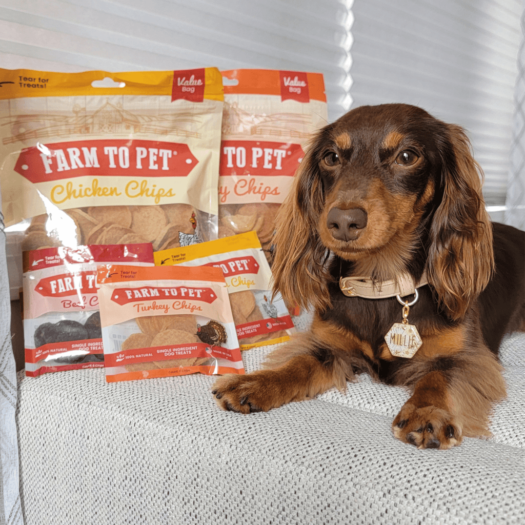 Turkey & Chicken Chip Dog Treat Duo | Single-Ingredient Poultry Treats for Dogs Farm To Pet