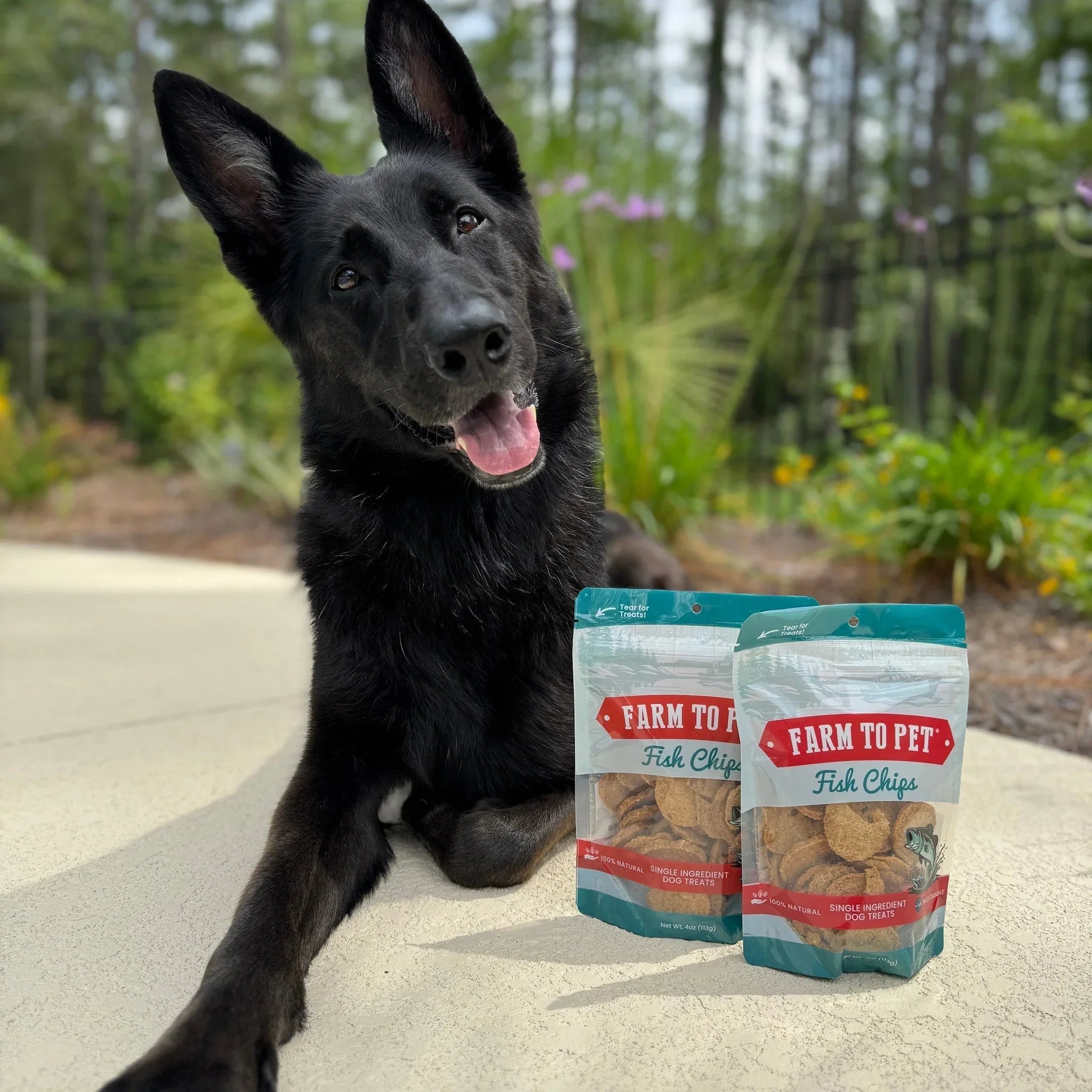 Fish Chips for Dogs | Wild-Caught Fish Dog Treats Farm To Pet