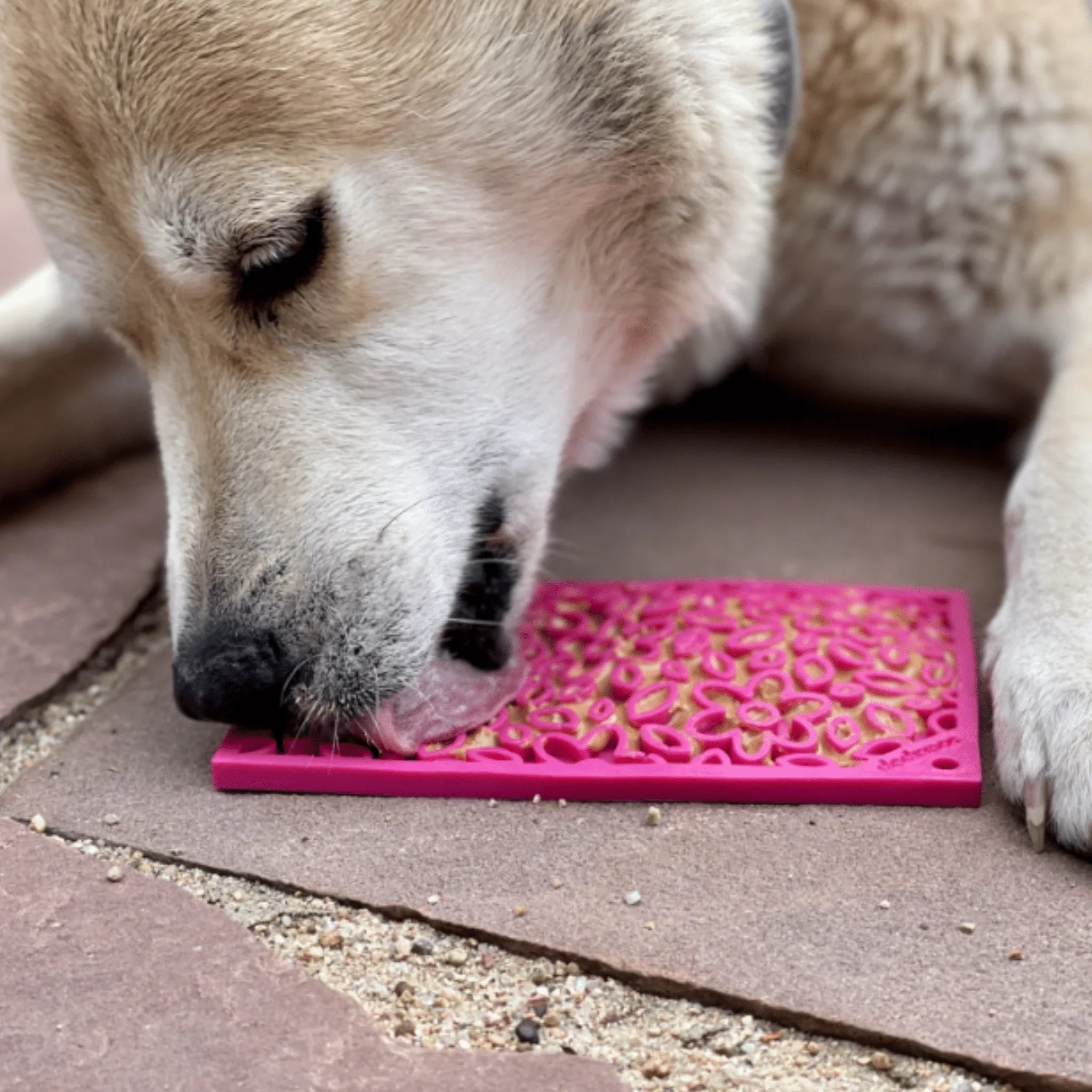 Lick Mats for Cats and Small Dogs Farm To Pet