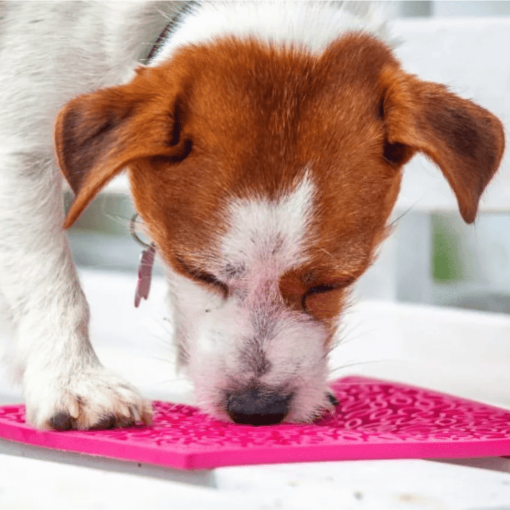 Lick Mats for Cats and Small Dogs Farm To Pet
