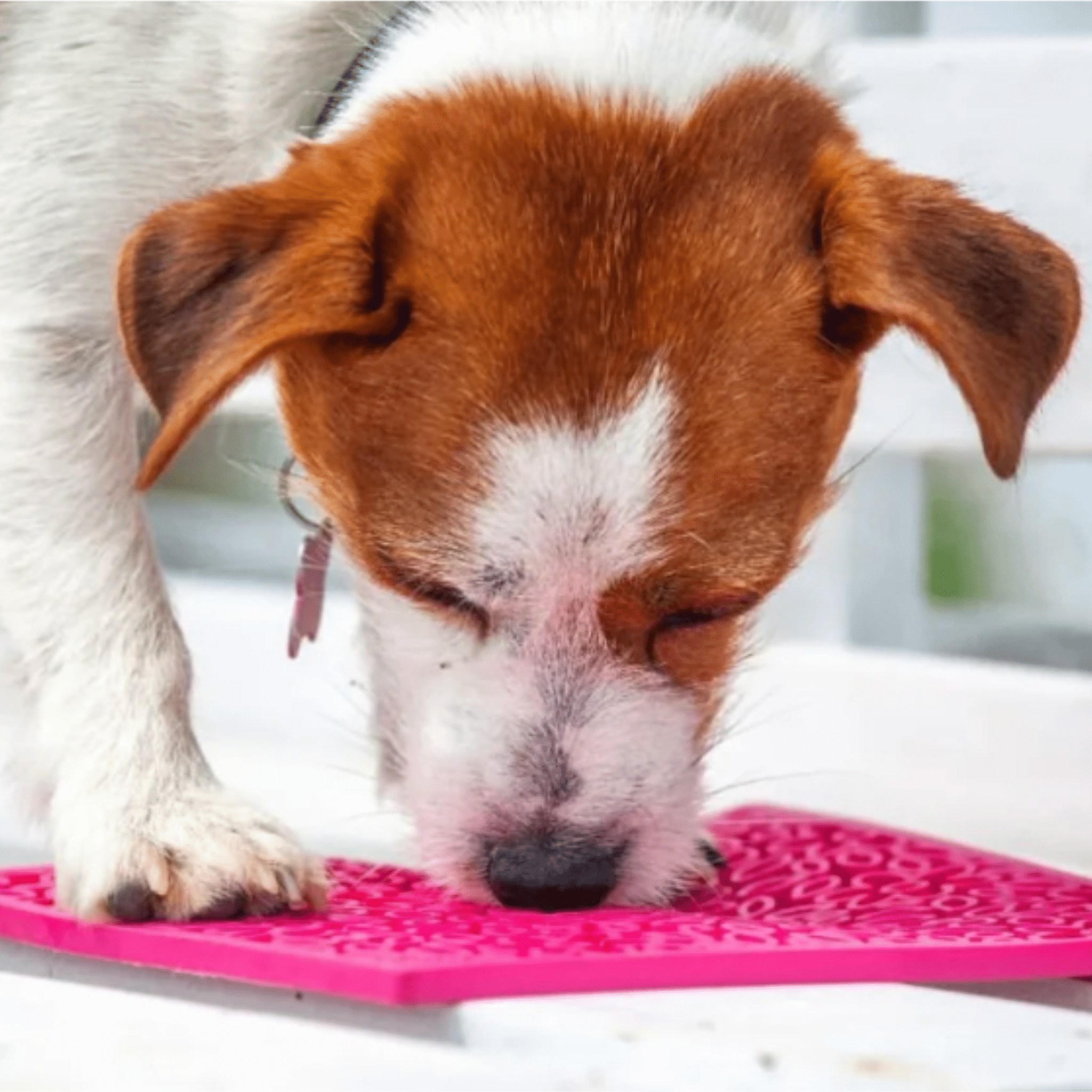 Lick Mats for Cats and Small Dogs Farm To Pet