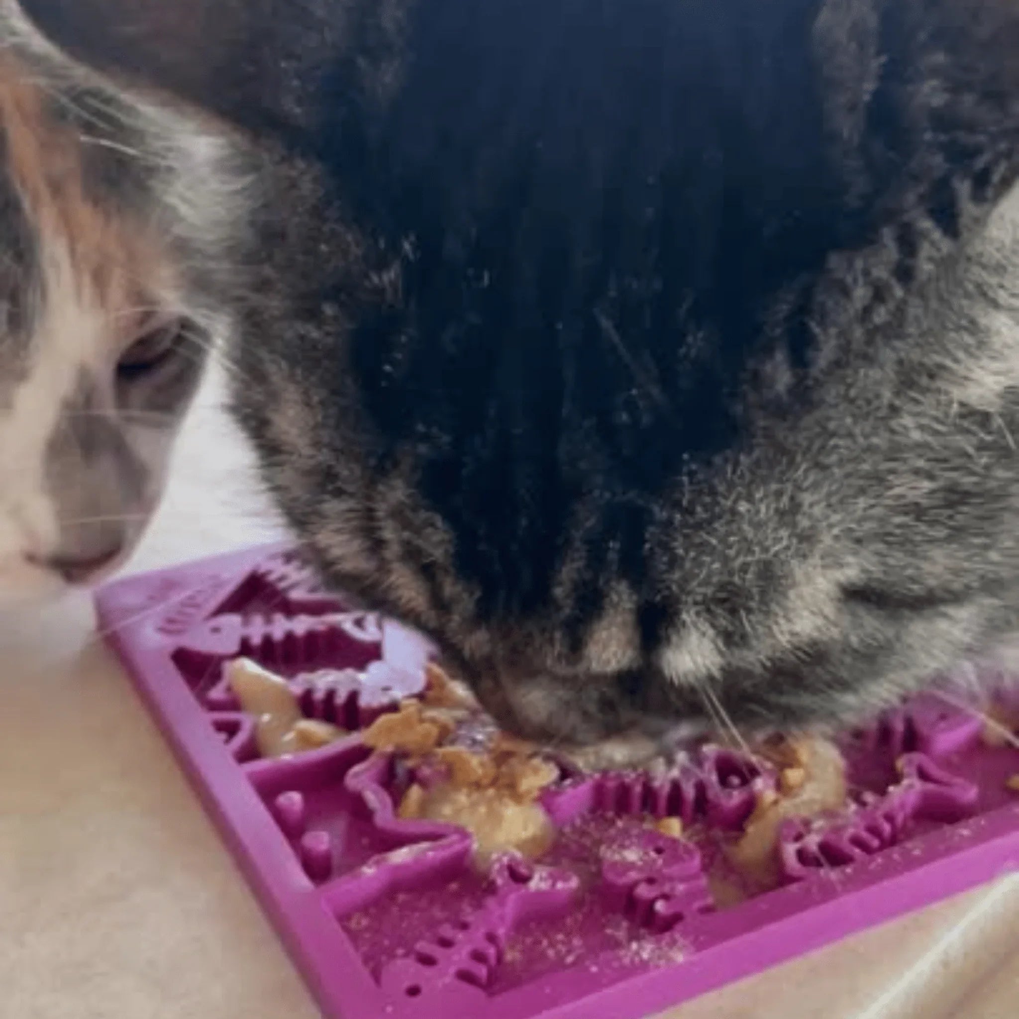 Lick Mats for Cats and Small Dogs Farm To Pet