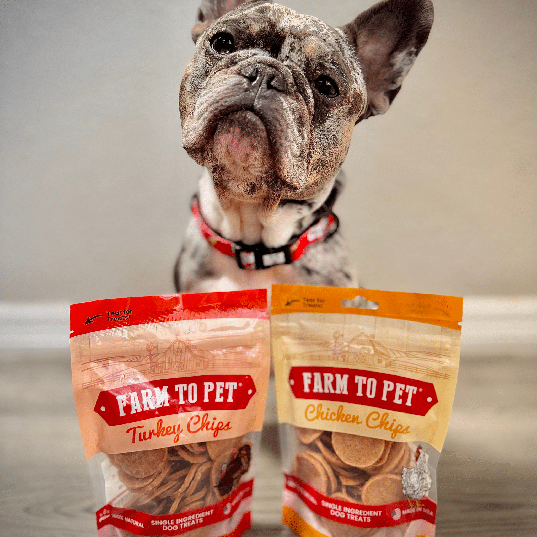 Turkey & Chicken Chip Dog Treat Duo | Single-Ingredient Poultry Treats for Dogs Farm To Pet