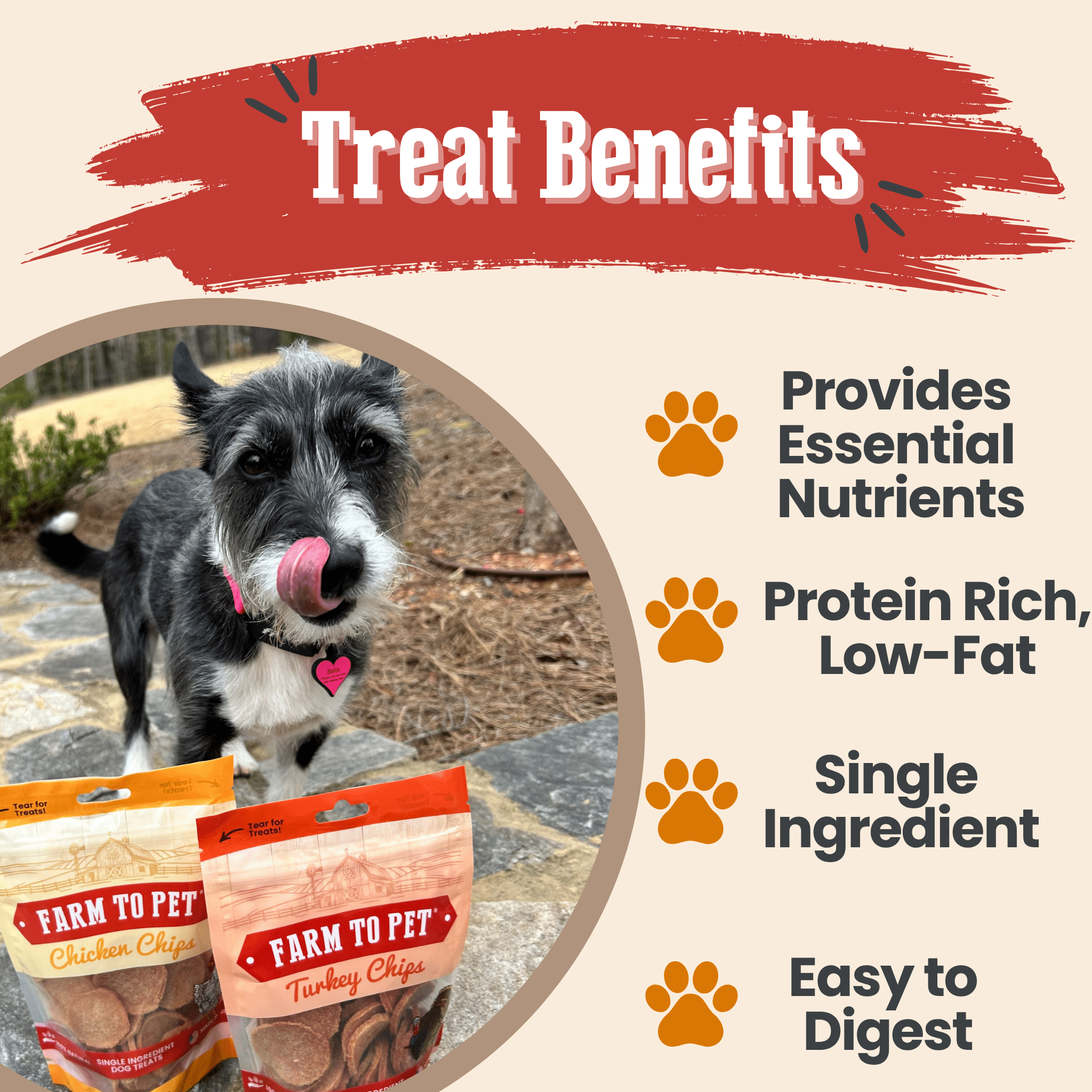 Turkey & Chicken Chip Dog Treat Duo | Single-Ingredient Poultry Treats for Dogs Farm To Pet