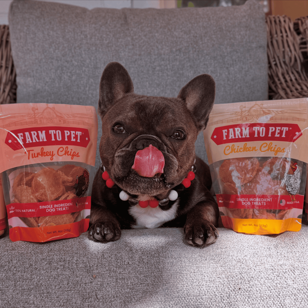 Turkey & Chicken Chip Dog Treat Duo | Single-Ingredient Poultry Treats for Dogs Farm To Pet