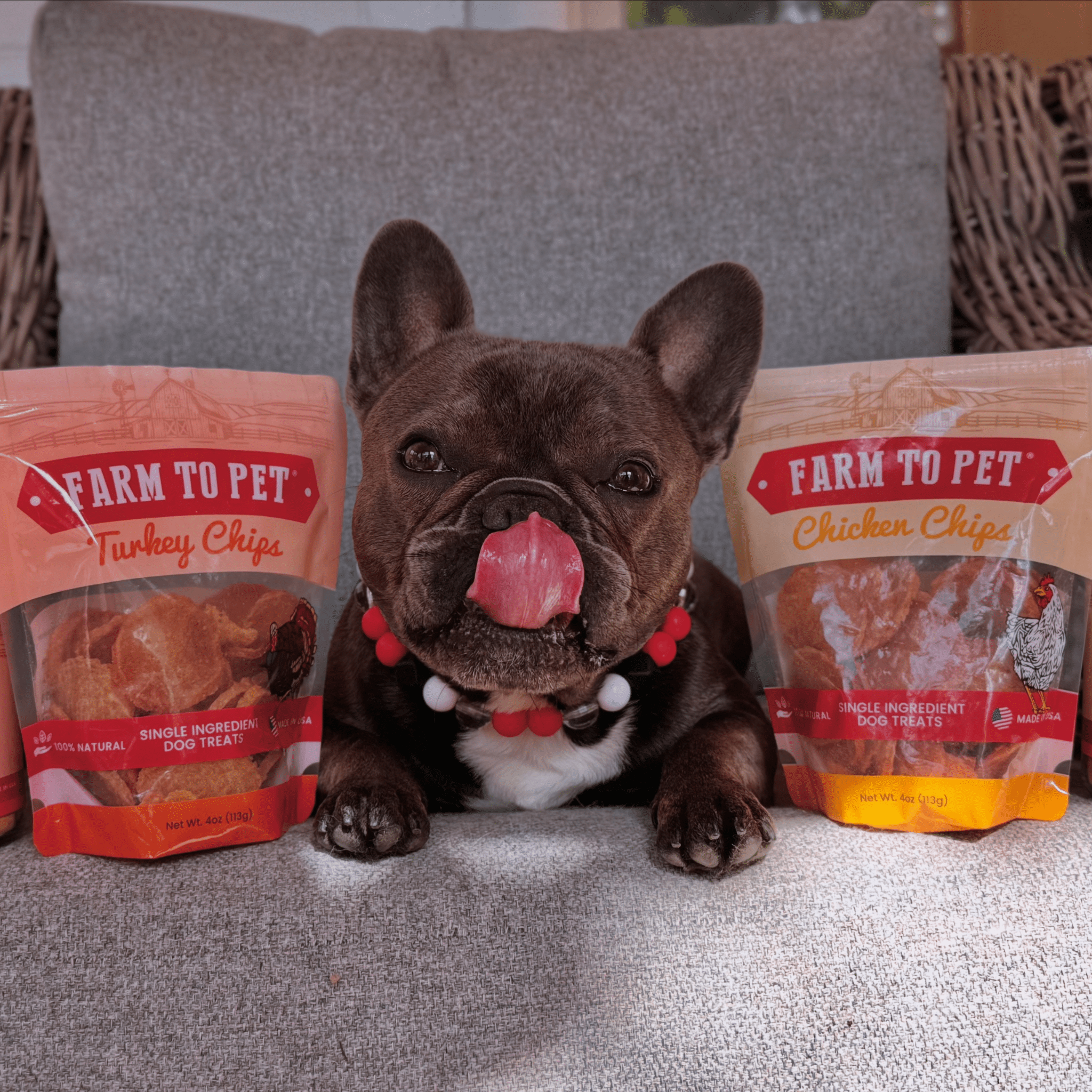 Turkey & Chicken Chip Dog Treat Duo | Single-Ingredient Poultry Treats for Dogs Farm To Pet