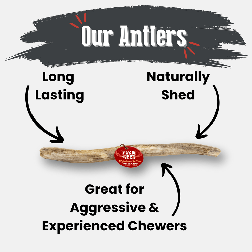 Reindeer Antler Dog Chews | Organic Chews for Dogs Farm To Pet