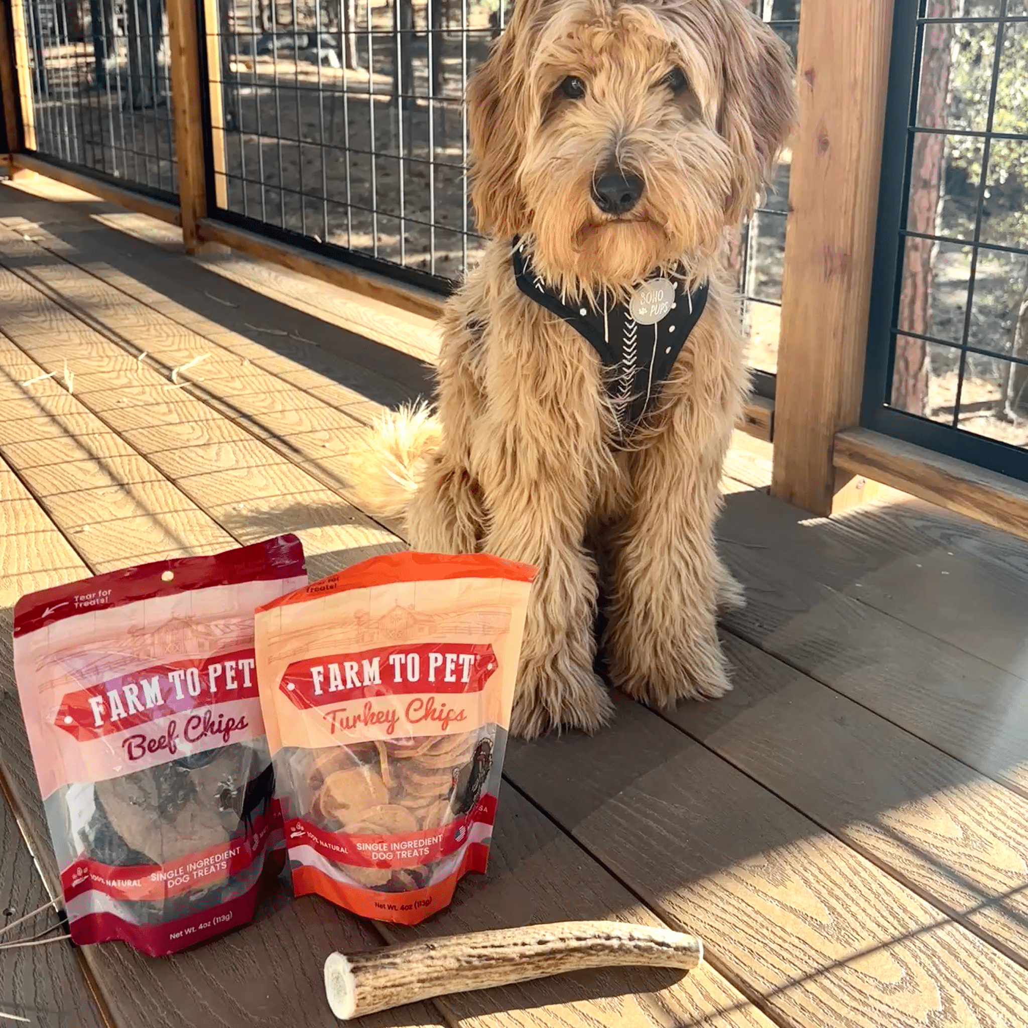 Reindeer Antler Dog Chews | Organic Chews for Dogs Farm To Pet