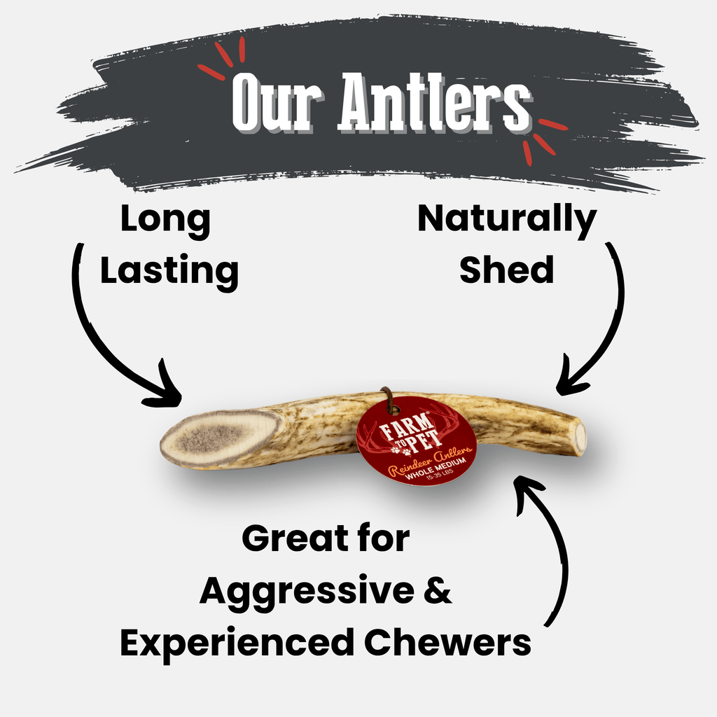 Reindeer Antler Dog Chews | Organic Chews for Dogs Farm To Pet