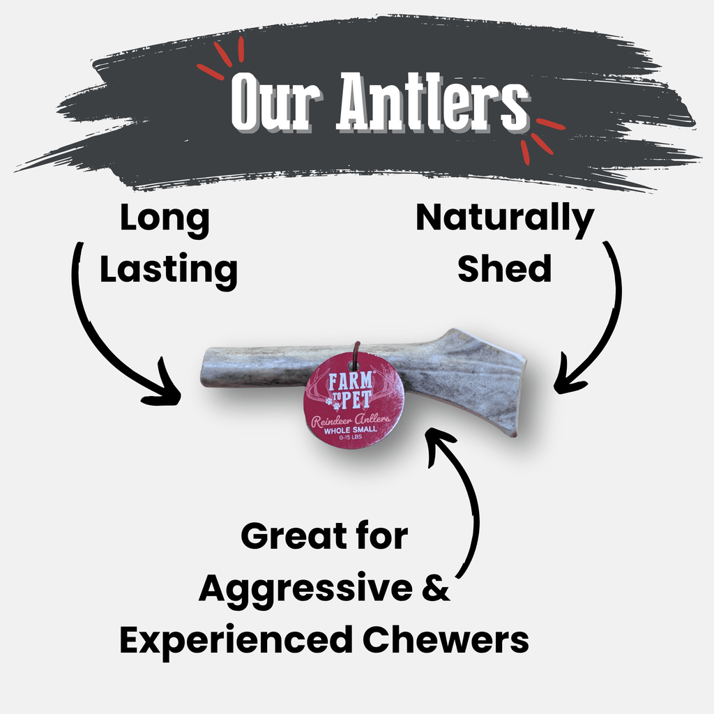 Reindeer Antler Dog Chews | Organic Chews for Dogs Farm To Pet