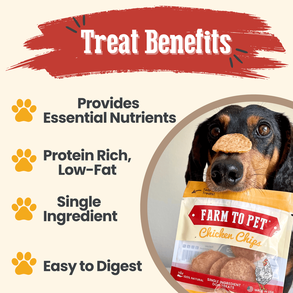 Chicken Chips Snack Pack Bundles | Dog Party Favors & Training Treats Farm To Pet