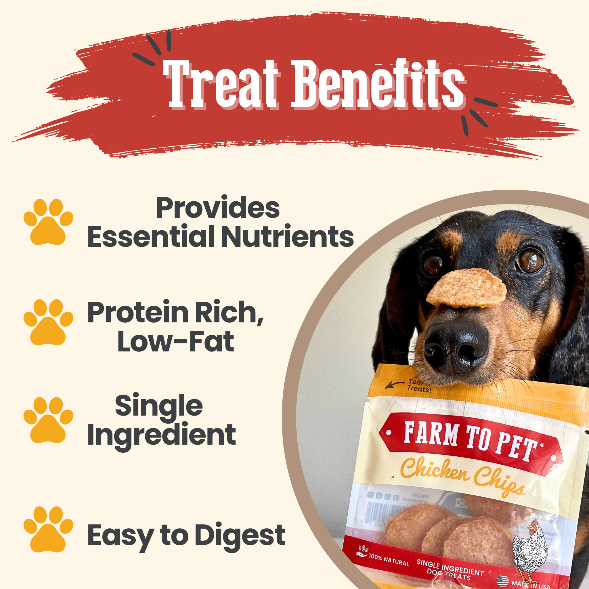 Chicken Chips Snack Pack Bundles | Dog Party Favors & Training Treats Farm To Pet