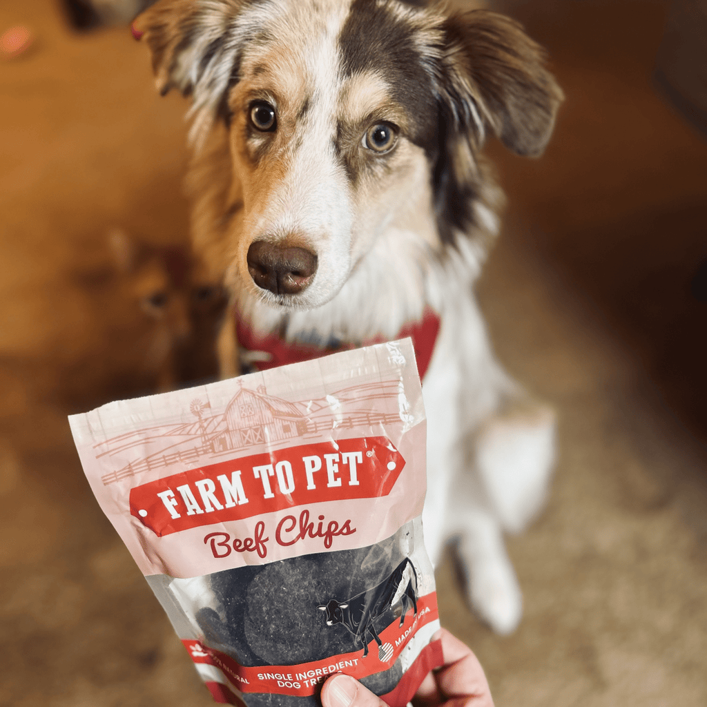 Puppy Packs 'n Snacks Dog Treat Starter Pack | Single-Ingredient Training Treats Farm To Pet