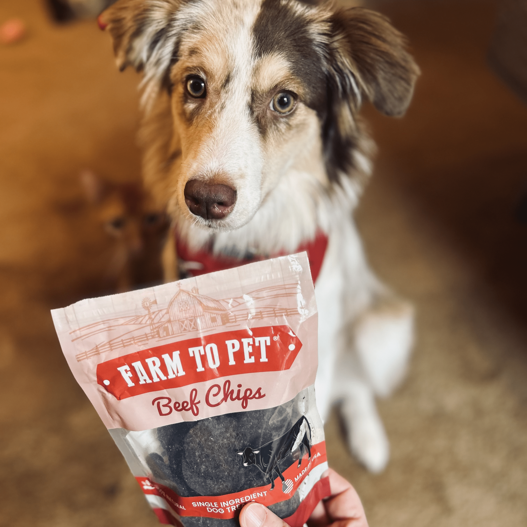 Puppy Packs 'n Snacks Dog Treat Starter Pack | Single-Ingredient Training Treats Farm To Pet