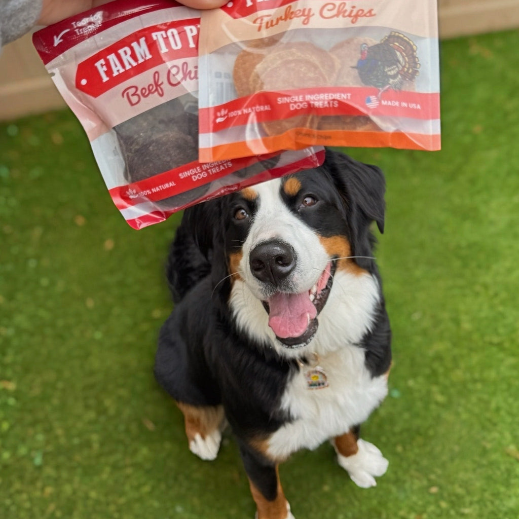 Puppy Packs 'n Snacks Dog Treat Starter Pack | Single-Ingredient Training Treats Farm To Pet