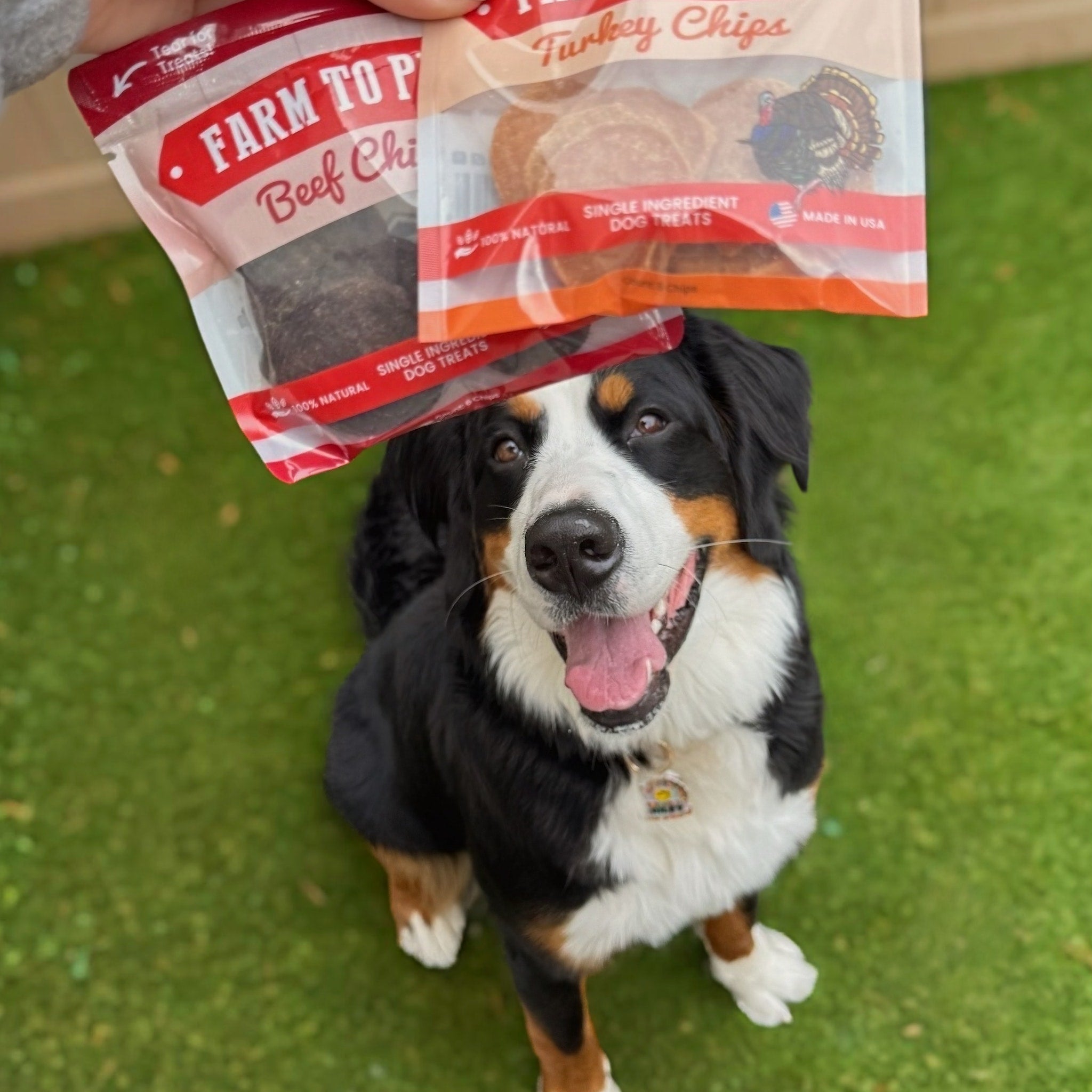 Puppy Packs 'n Snacks Dog Treat Starter Pack | Single-Ingredient Training Treats Farm To Pet