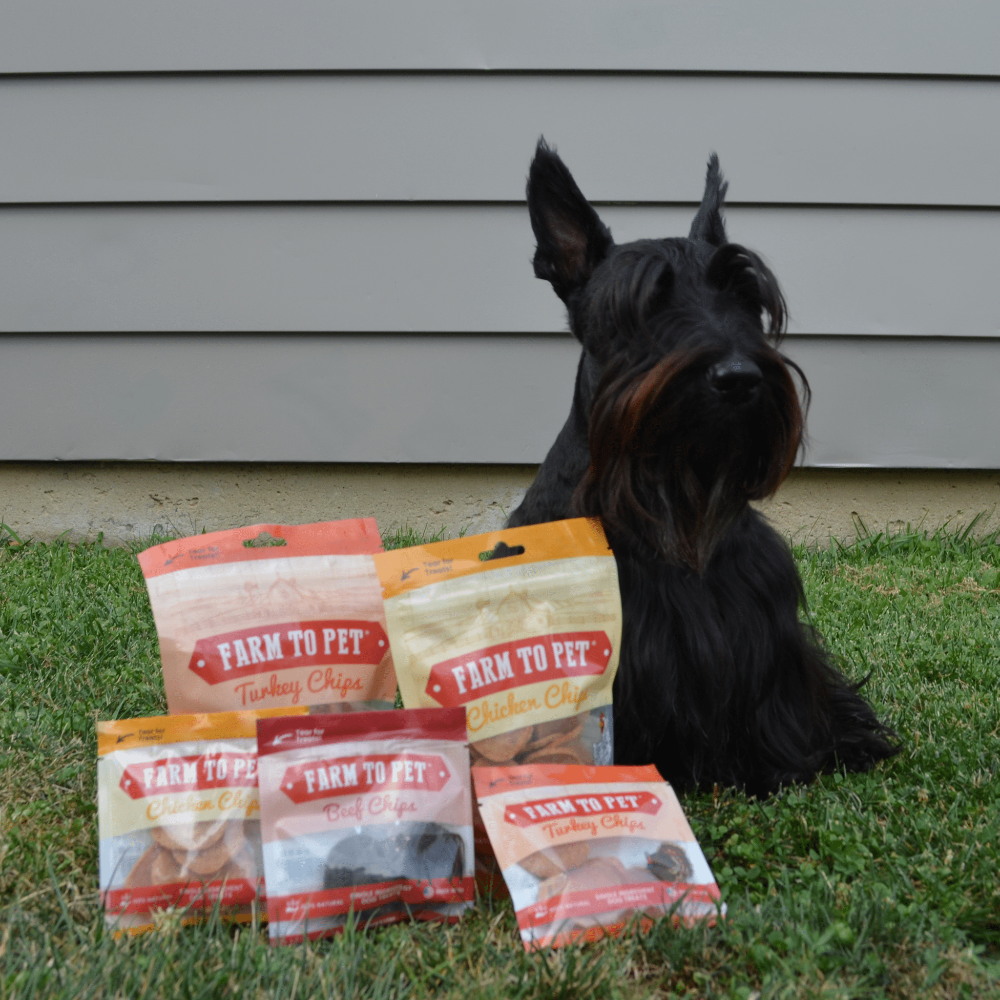 Puppy Packs 'n Snacks Dog Treat Starter Pack | Single-Ingredient Training Treats Farm To Pet