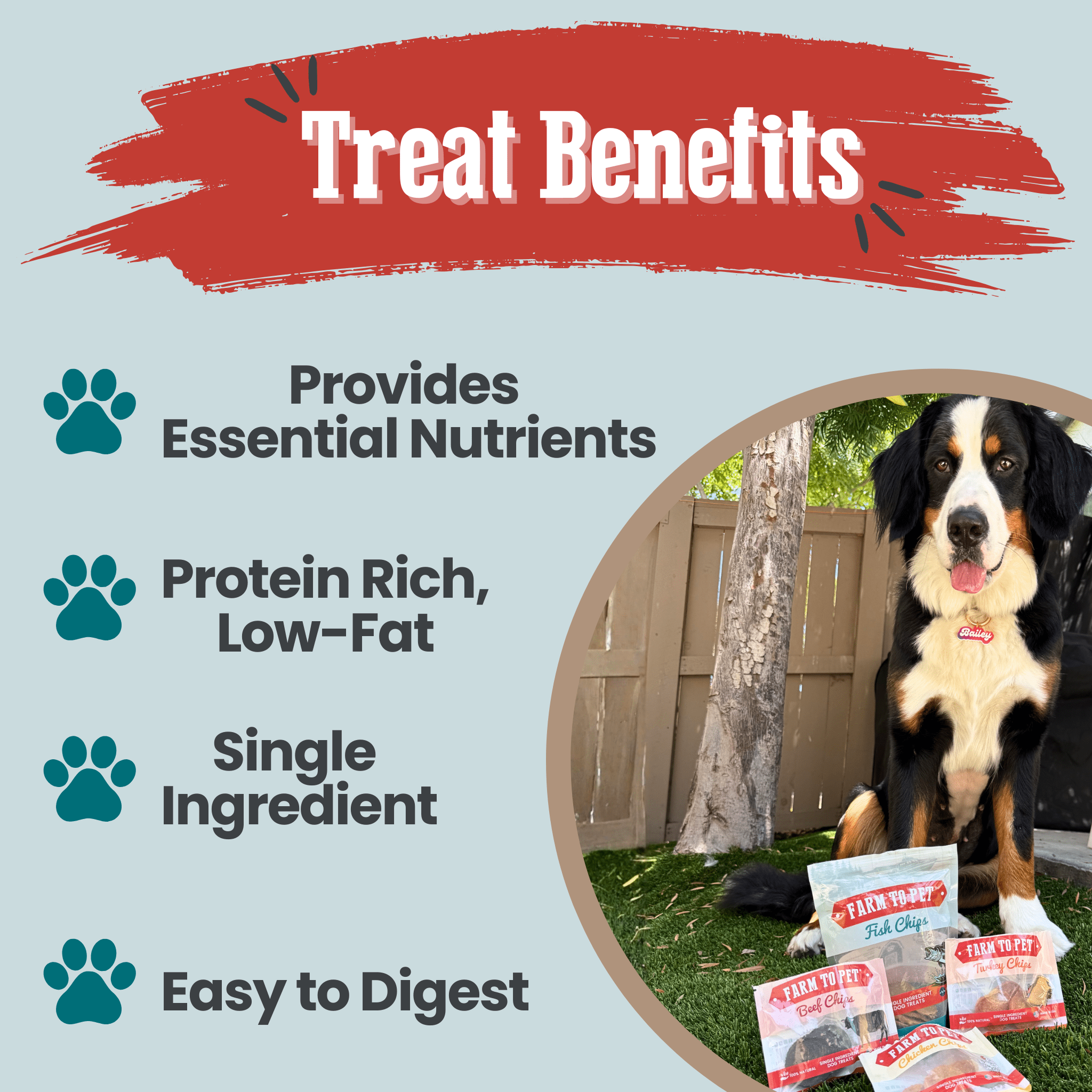 Puppy Packs 'n Snacks Dog Treat Starter Pack | Single-Ingredient Training Treats Farm To Pet