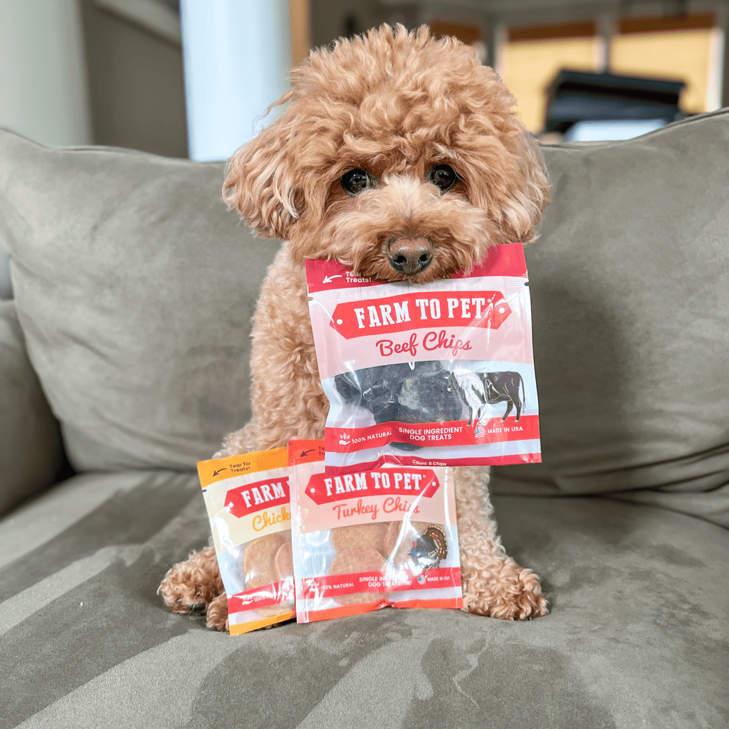 Puppy Packs 'n Snacks Dog Treat Starter Pack | Single-Ingredient Training Treats Farm To Pet
