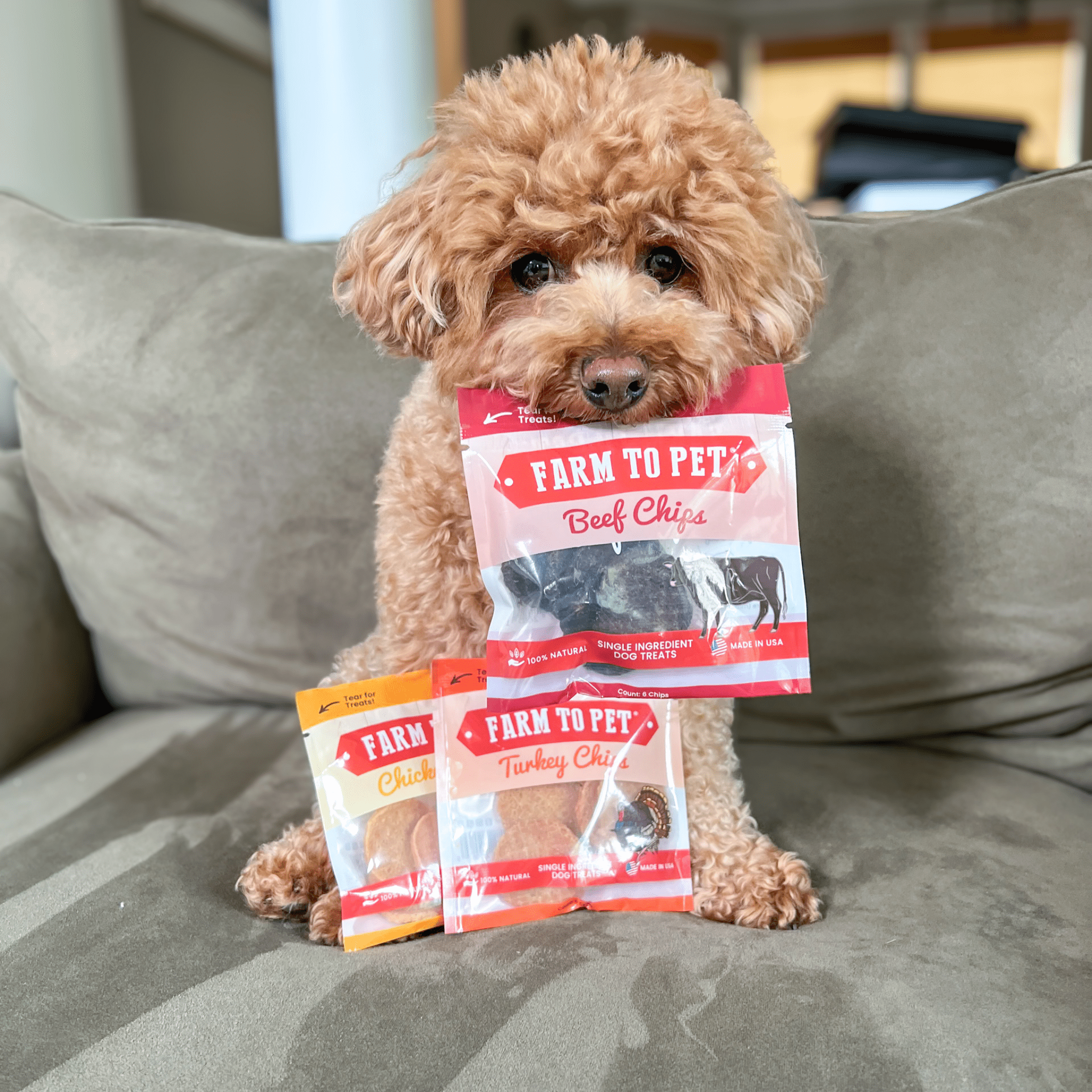 Puppy Packs 'n Snacks Dog Treat Starter Pack | Single-Ingredient Training Treats Farm To Pet