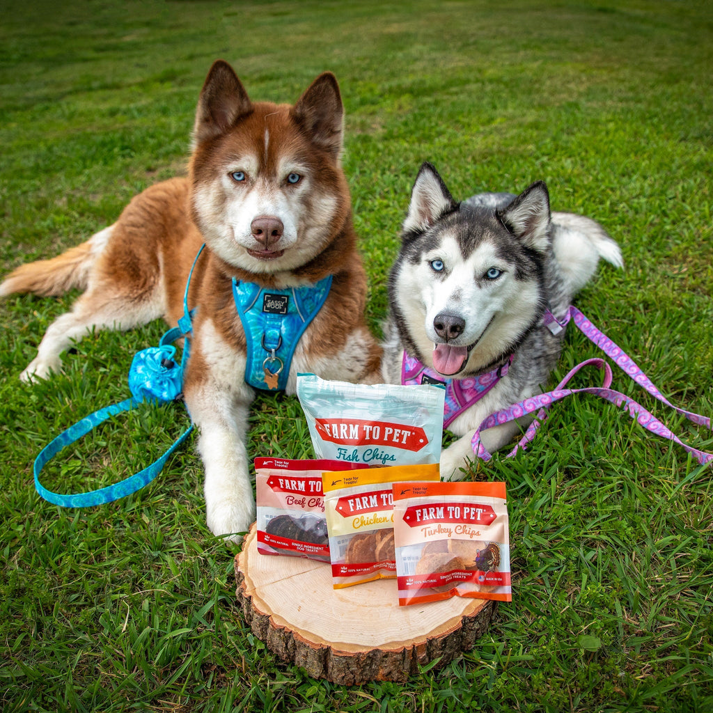 Puppy Packs 'n Snacks Dog Treat Starter Pack | Single-Ingredient Training Treats Farm To Pet