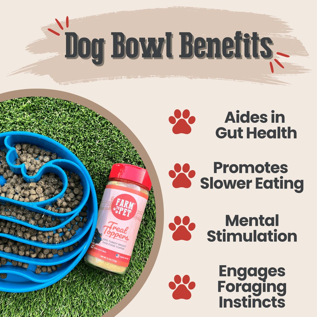 Slow Feeder Dog Bowls Farm To Pet