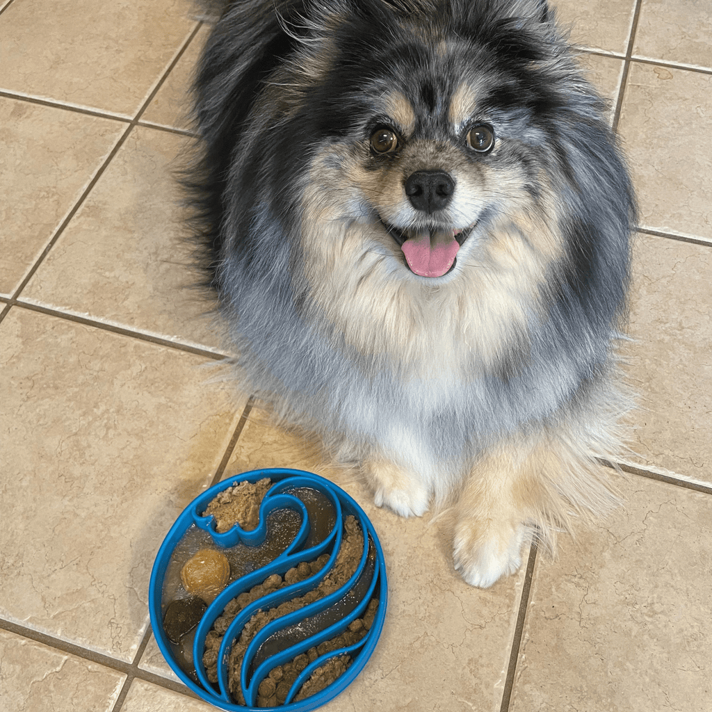 Slow Feeder Dog Bowls Farm To Pet