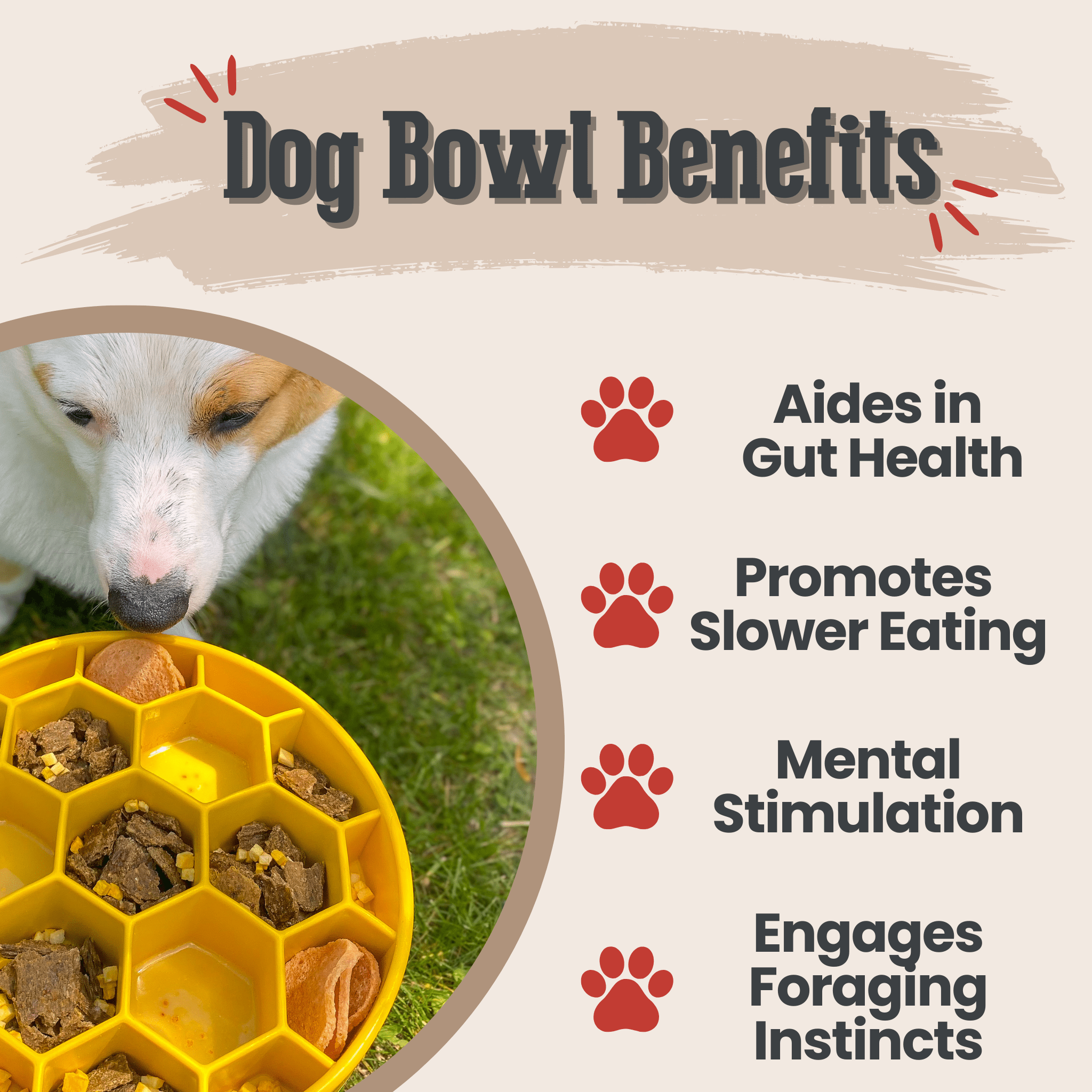 Slow Feeder Dog Bowls Farm To Pet