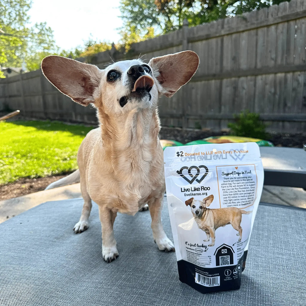 Live Like Roo Turkey Chips for Dogs | Dog Treats That Give Back Farm To Pet