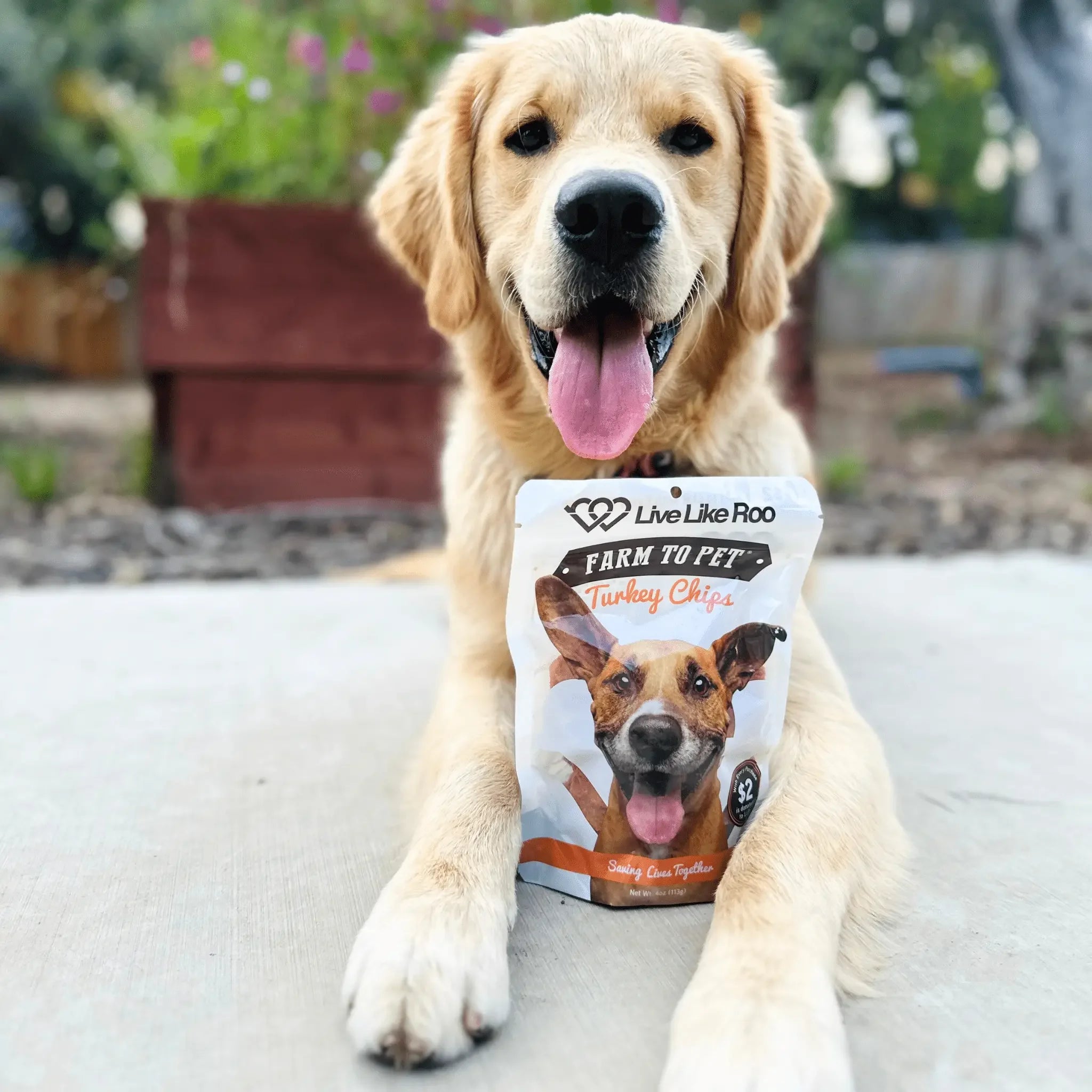 Live Like Roo Turkey Chips for Dogs | Dog Treats That Give Back Farm To Pet