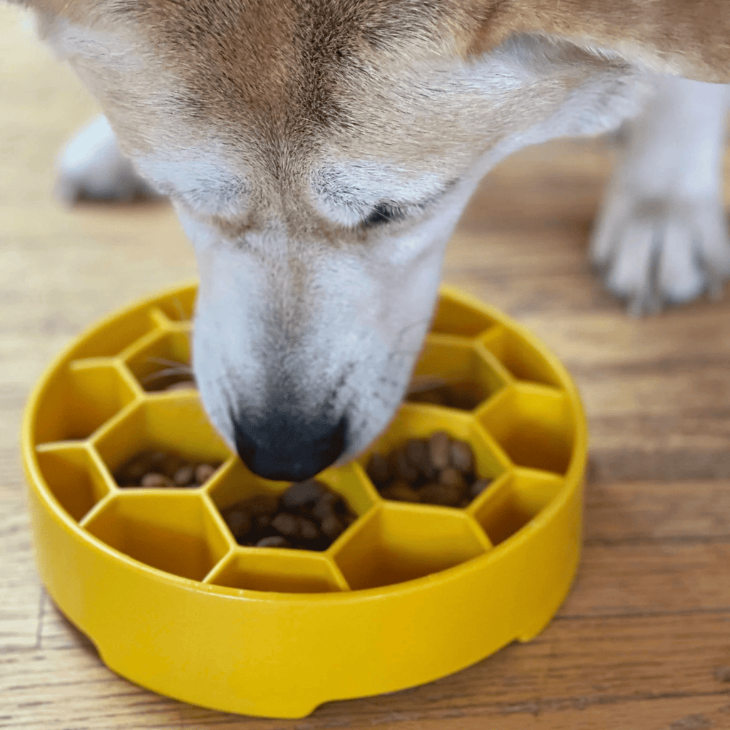 Slow Feeder Dog Bowls Farm To Pet