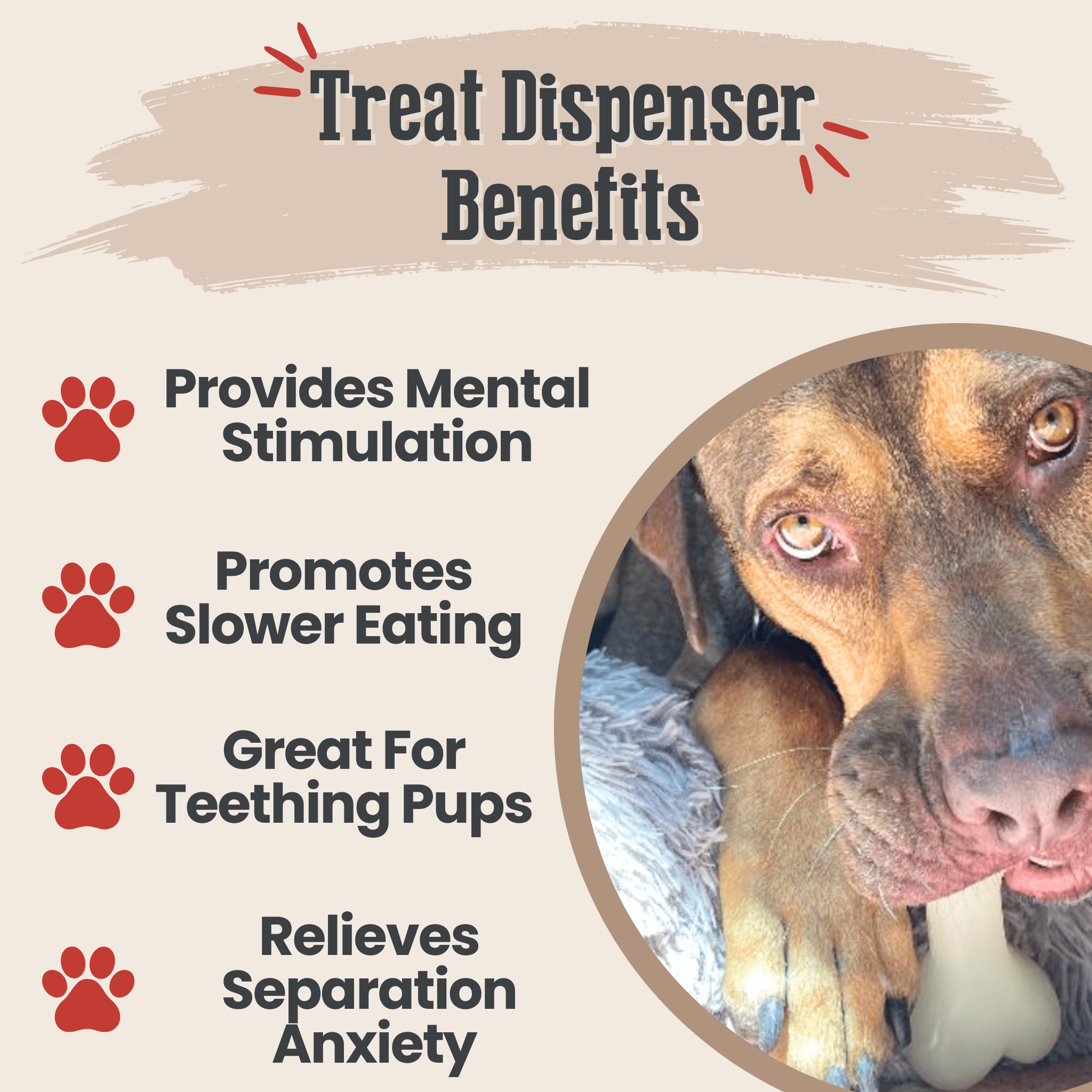 Dog Treat Dispensers Farm To Pet