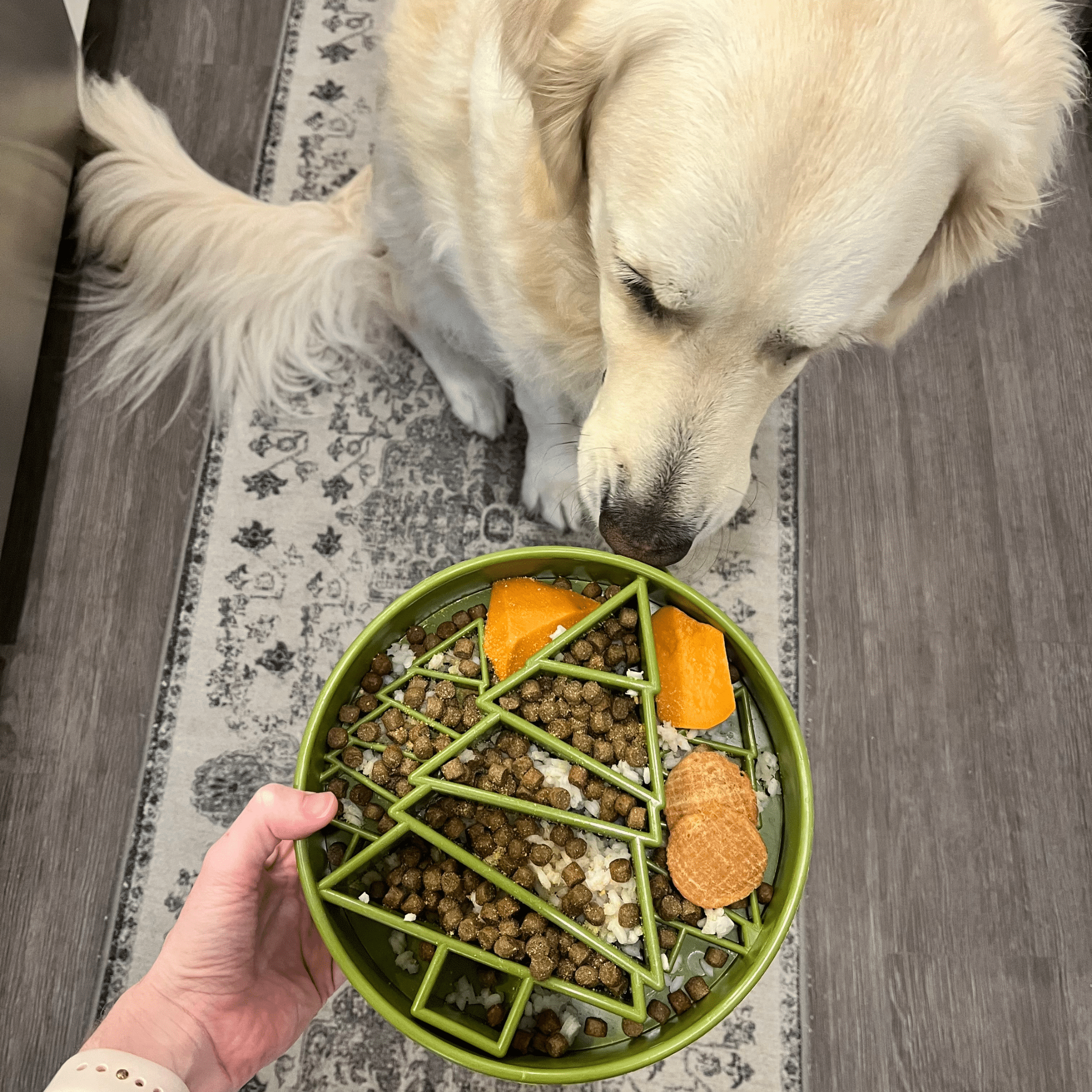 Slow Feeder Dog Bowls Farm To Pet