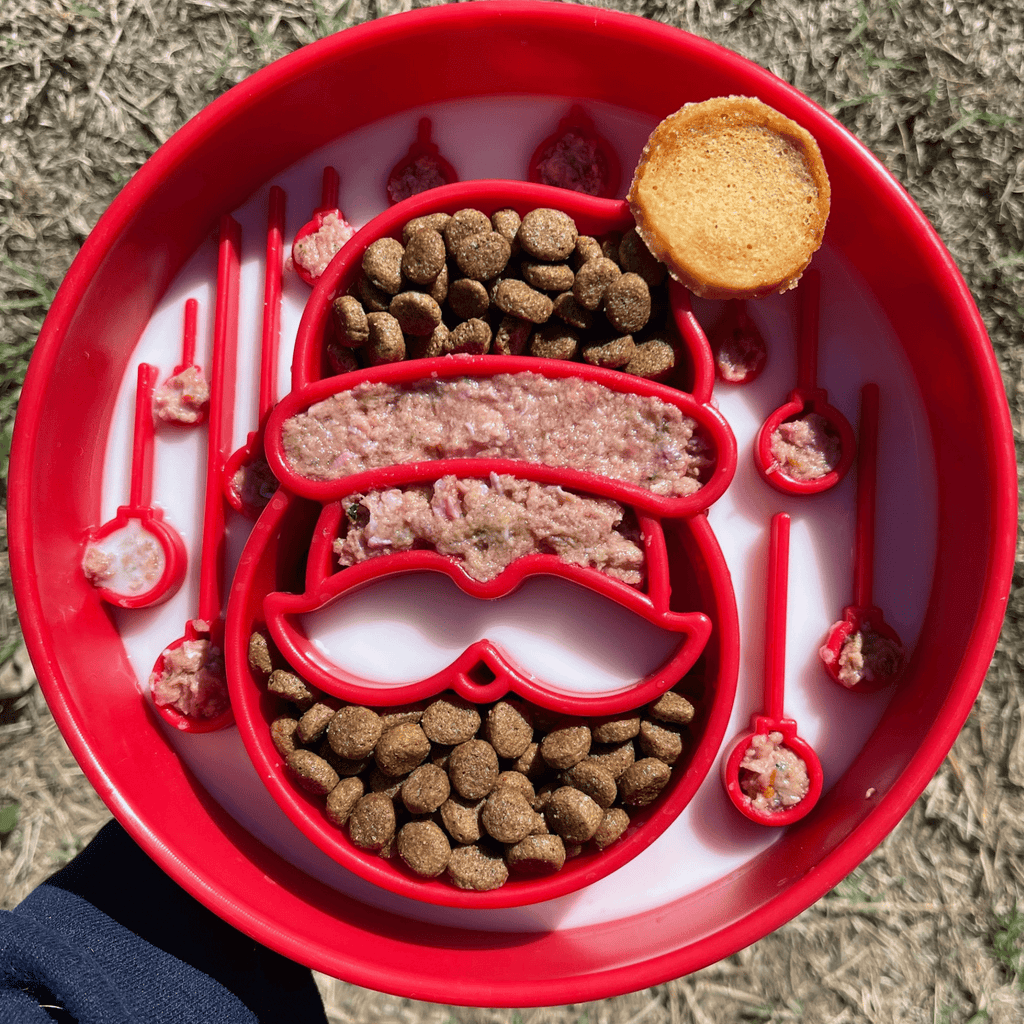 Slow Feeder Dog Bowls Farm To Pet
