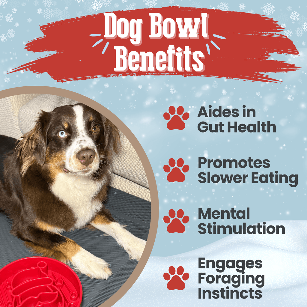 Slow Feeder Dog Bowls Farm To Pet